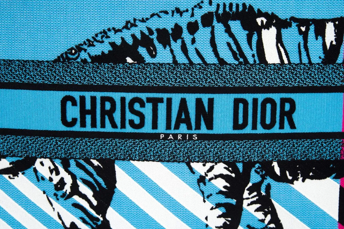 Christian Dior Pink &  Blue Zebra Printed Book Tote