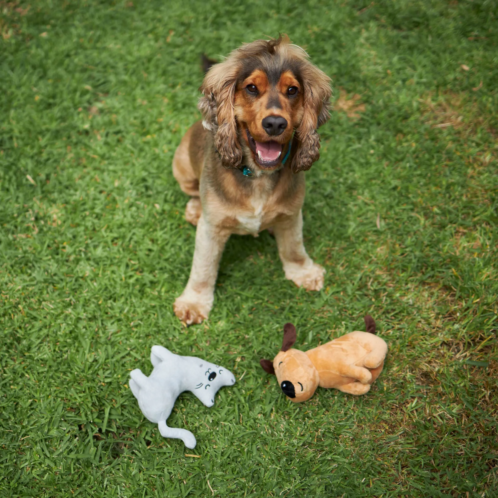 Plush Barney the Dog